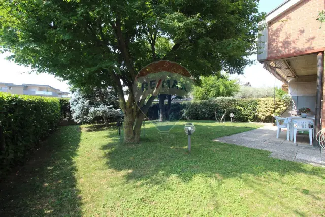 insertion image