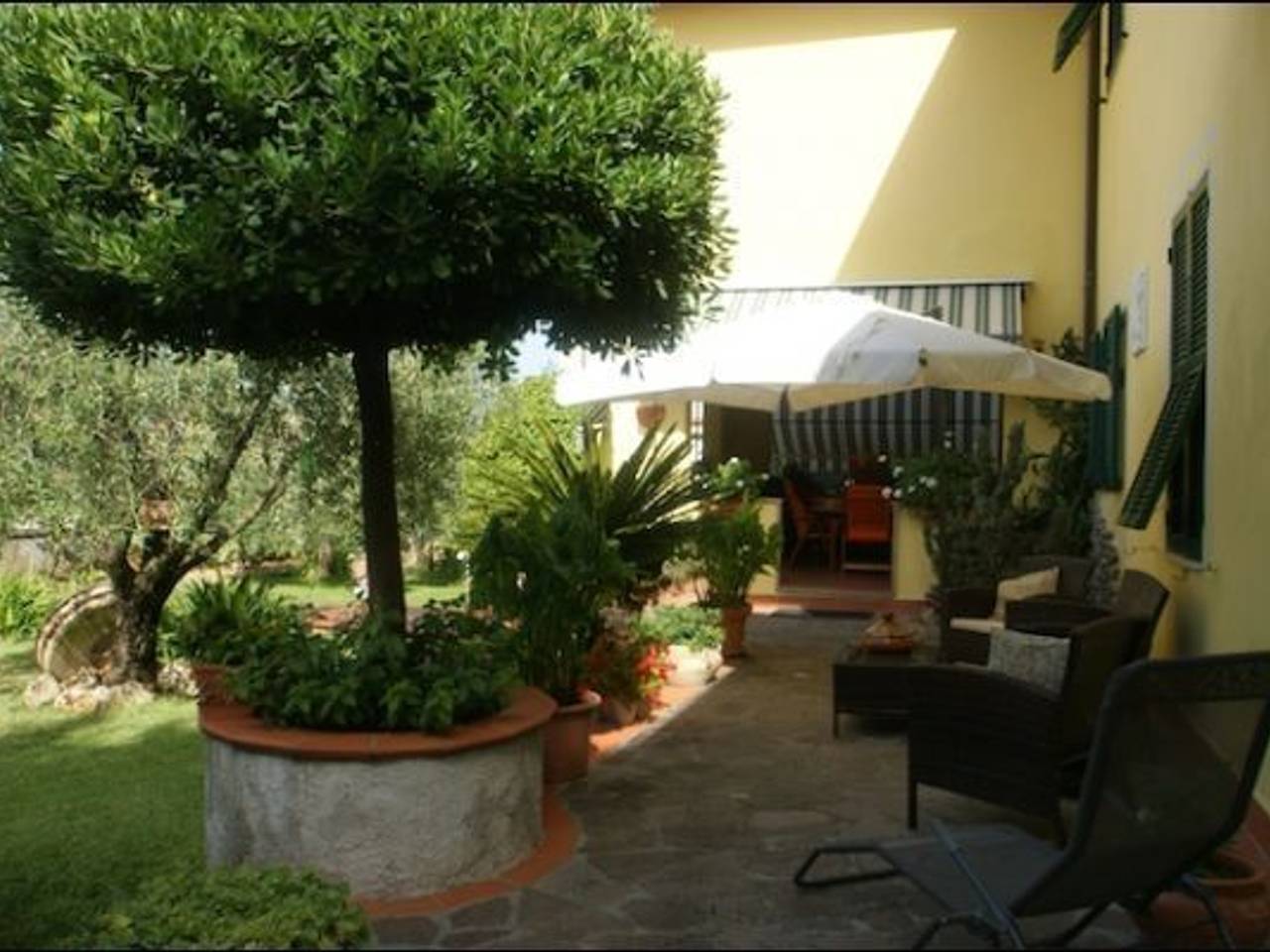 immagine annuncio 3 di 10