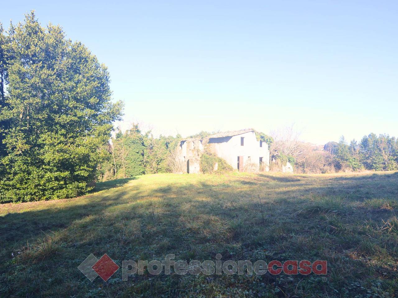 immagine annuncio 8 di 11