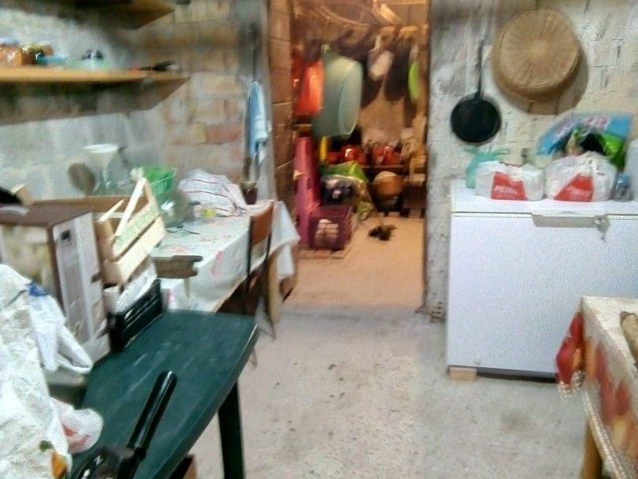 immagine annuncio 4 di 7