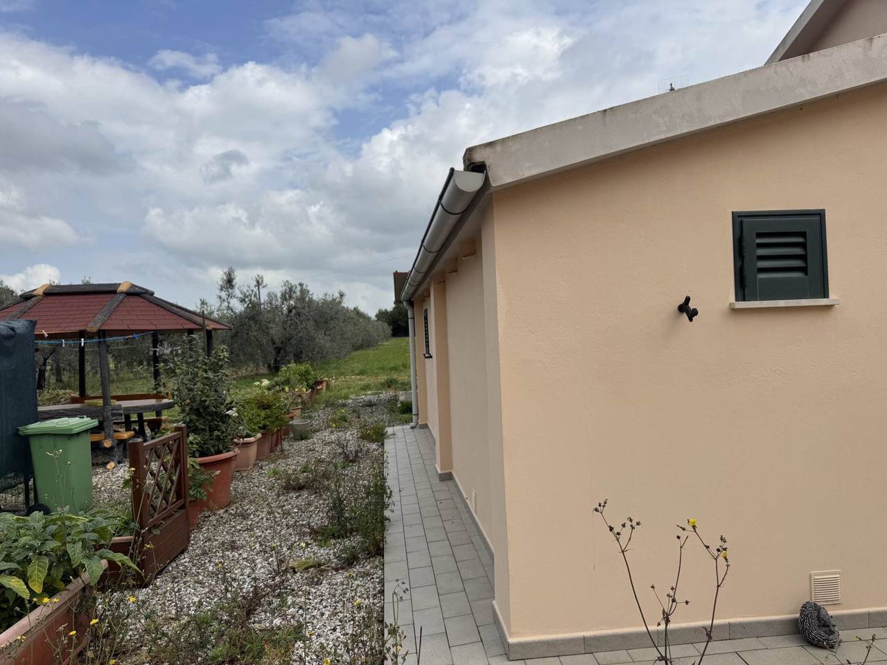 immagine annuncio 2 di 14