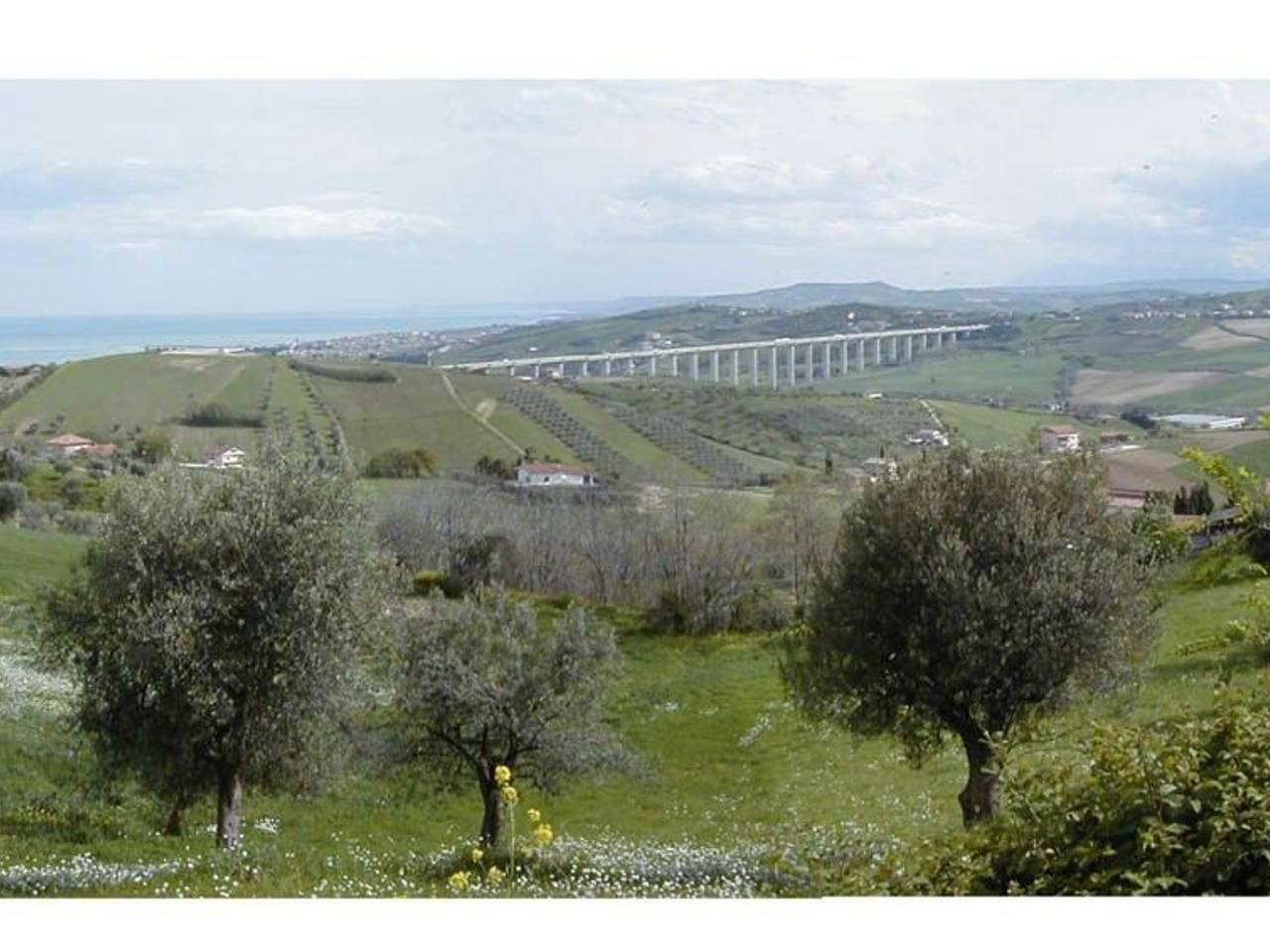 immagine annuncio 1 di 4