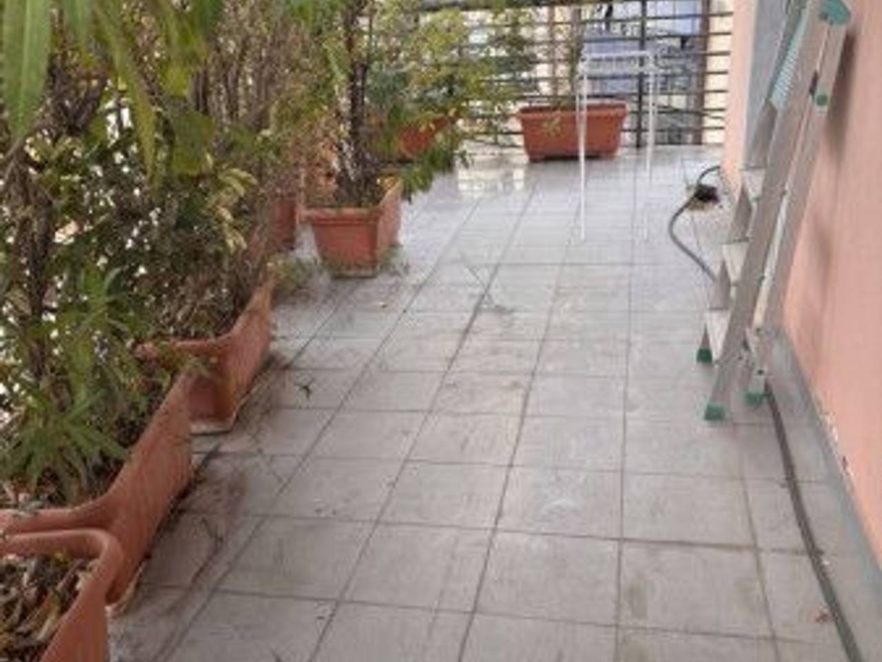immagine annuncio 3 di 14