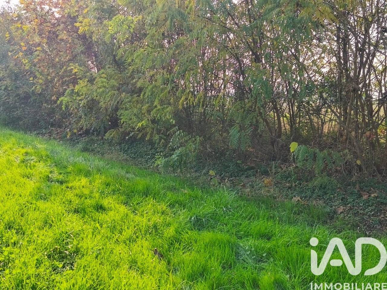 immagine annuncio 2 di 8