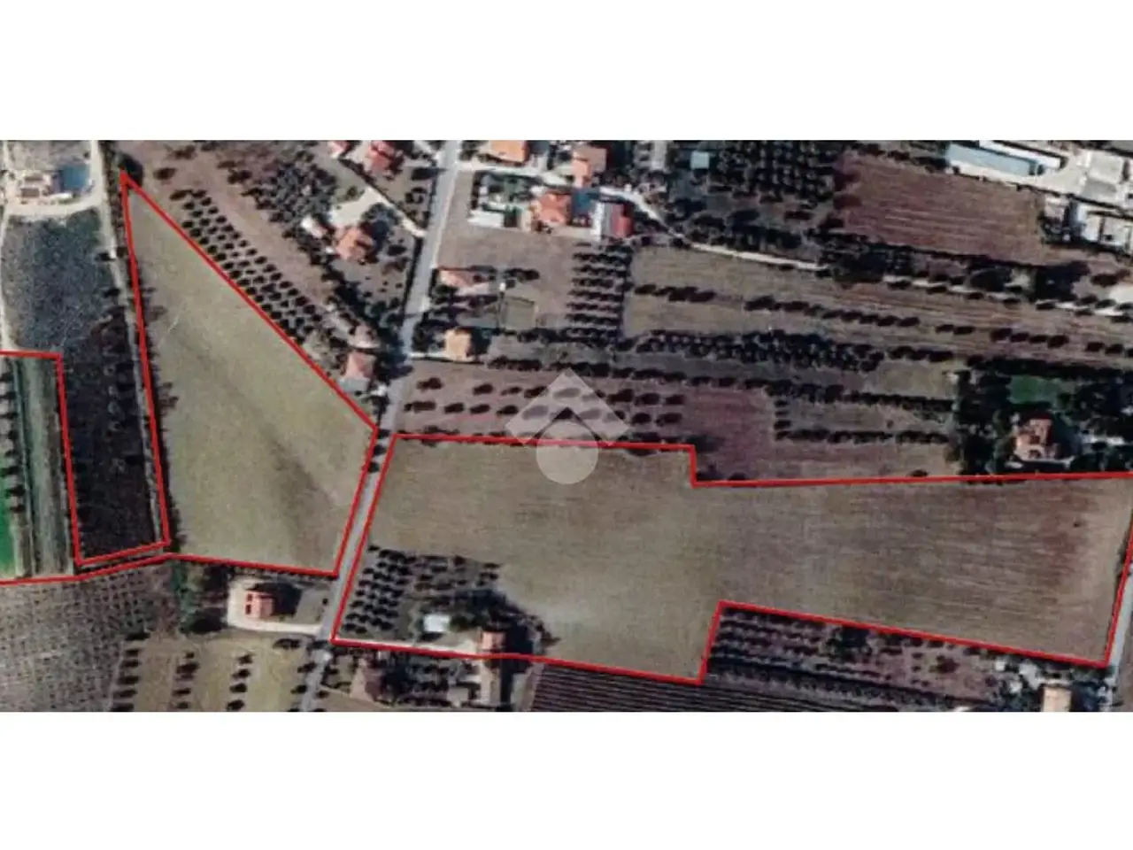 Palazzina commerciale in Via Capo di Fuori 174, Sant'Omero, {3} - Planimetria 1