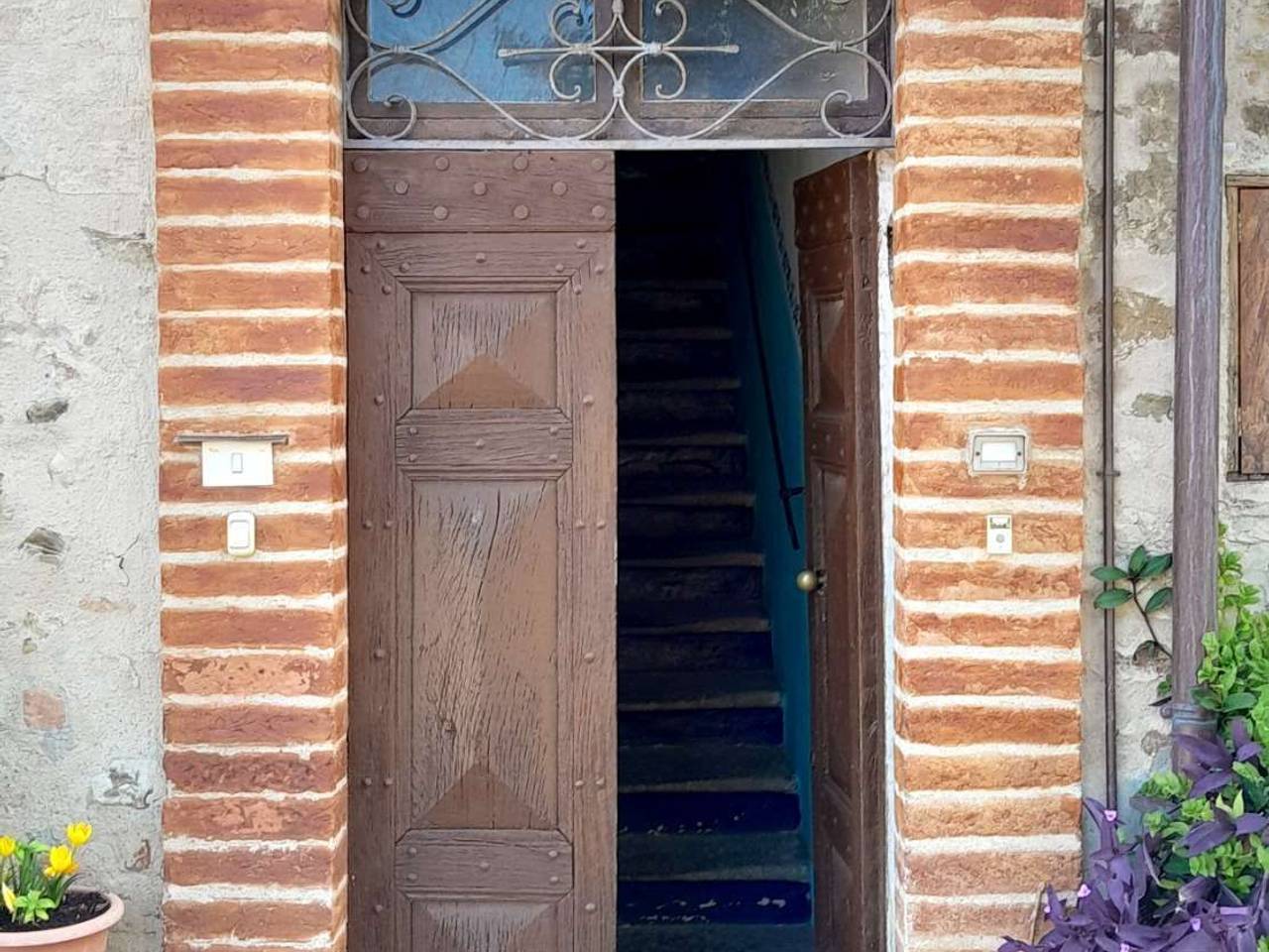 immagine annuncio 11 di 14