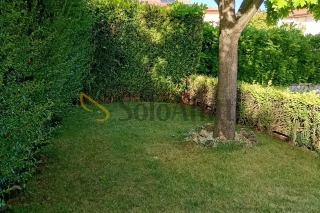 insertion image