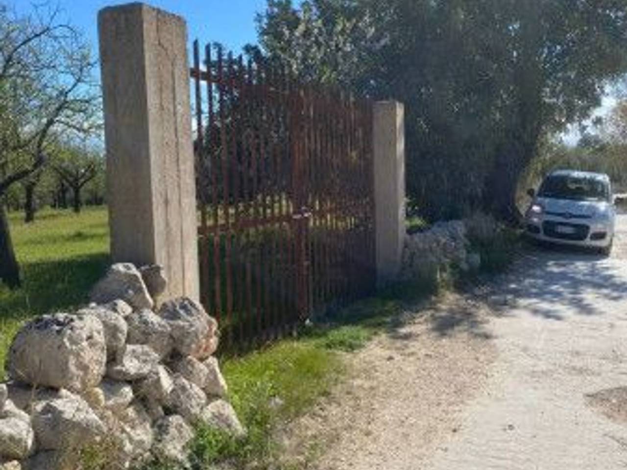 immagine annuncio 2 di 11