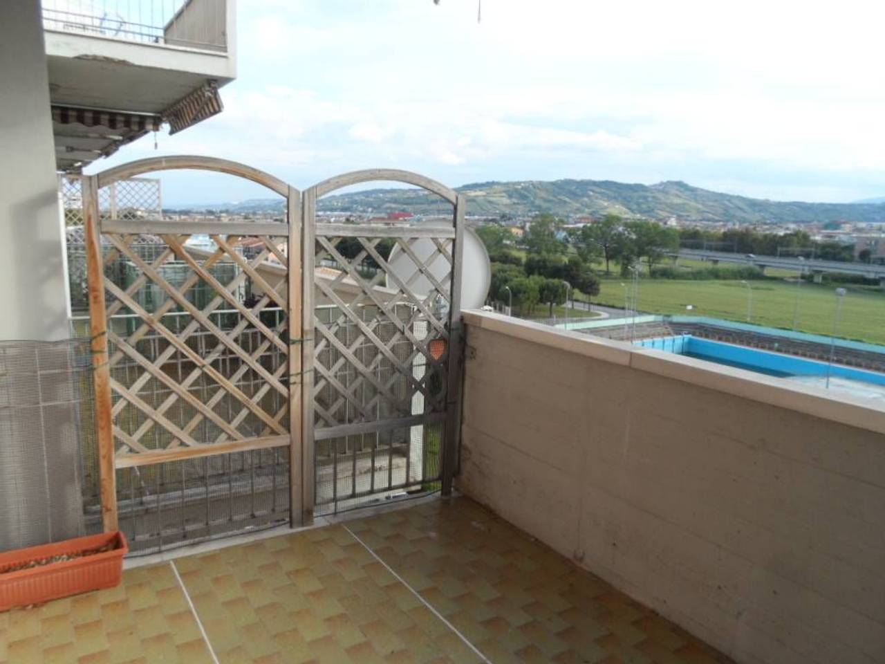 immagine annuncio 12 di 14