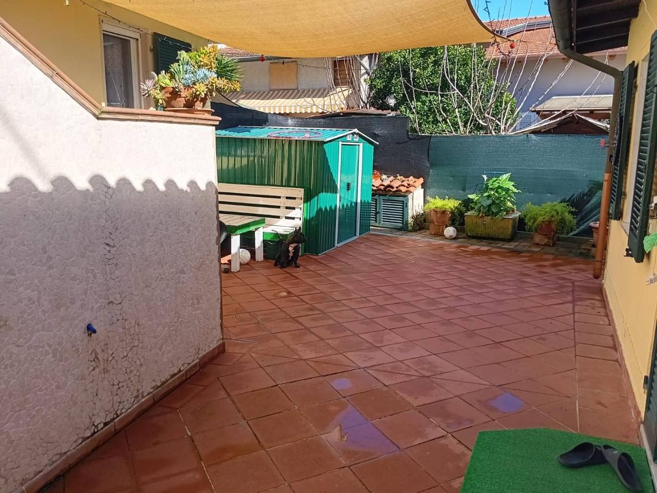 immagine annuncio 3 di 11