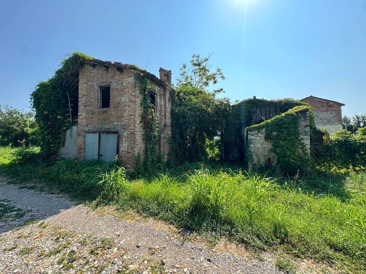 immagine annuncio 10 di 13
