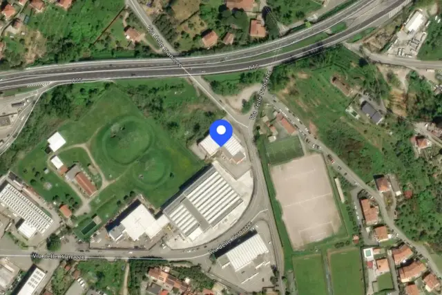 insertion image