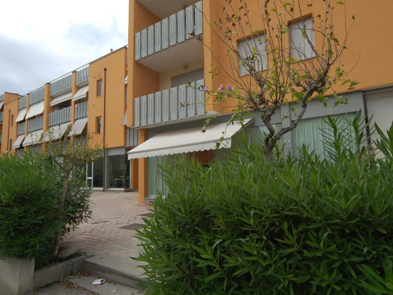 Negozio in Via E. De Filippo, Martinsicuro, {3} - Foto 2