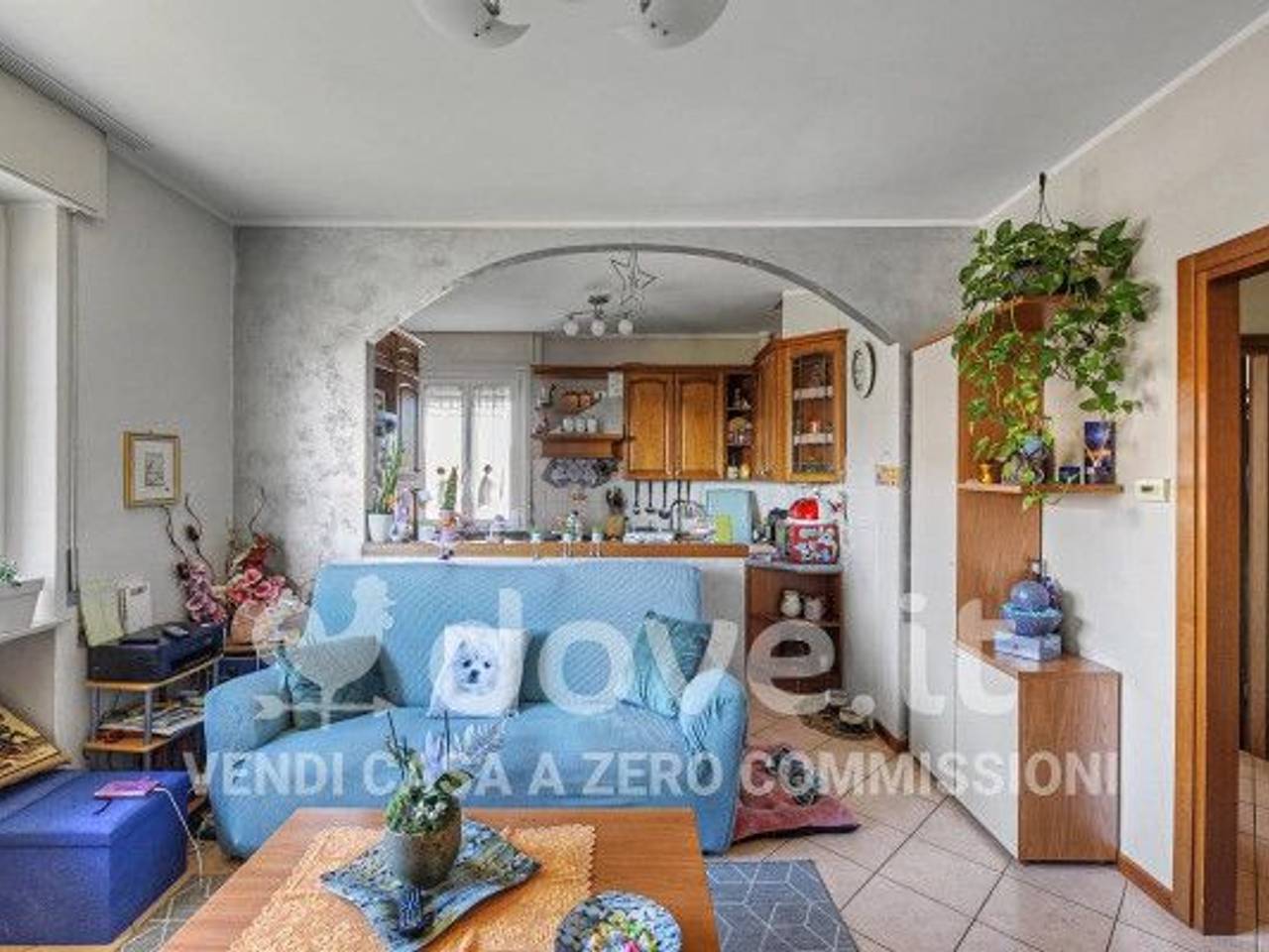 immagine annuncio 1 di 15