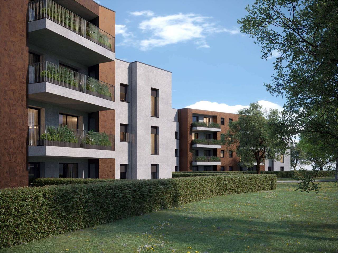 immagine annuncio 8 di 15