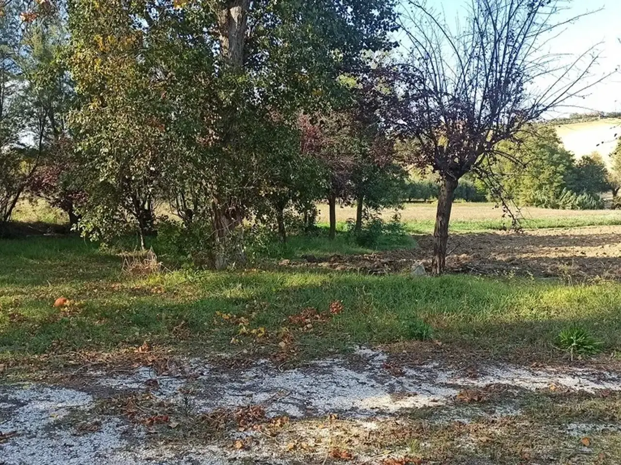 Azienda in , Sant'Elpidio A Mare, {3} - Foto 2