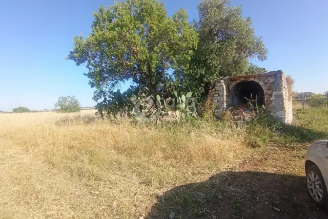 insertion image