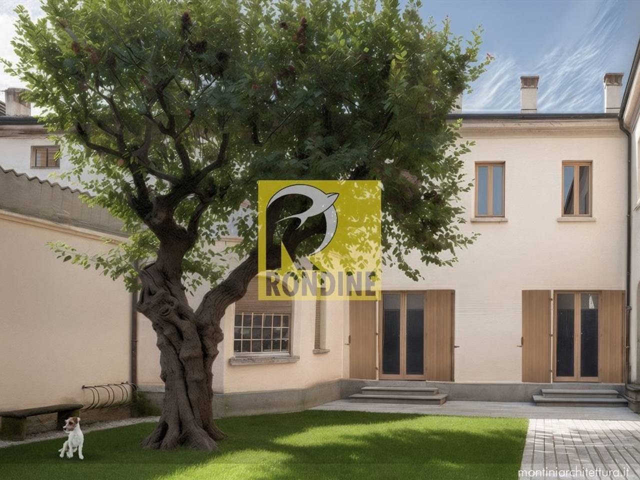 immagine annuncio 3 di 5