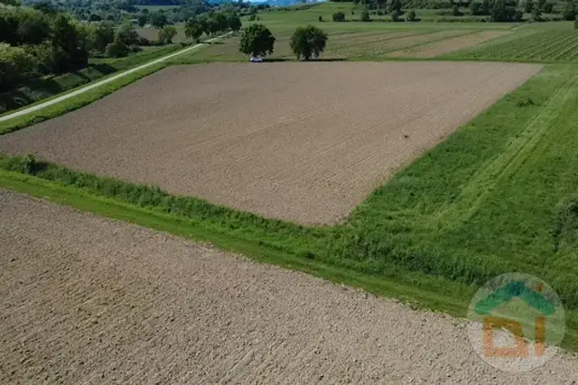 Terreno agricolo in vendita, Via Blanchis, Mossa - Foto 1