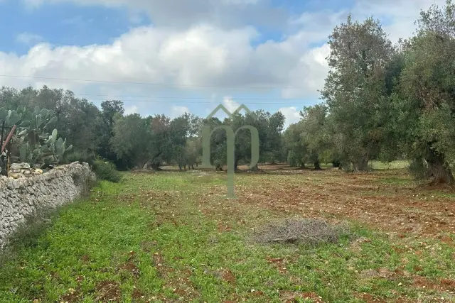 Terreno agricolo in Contrada Arrighi, Carovigno - Foto 1