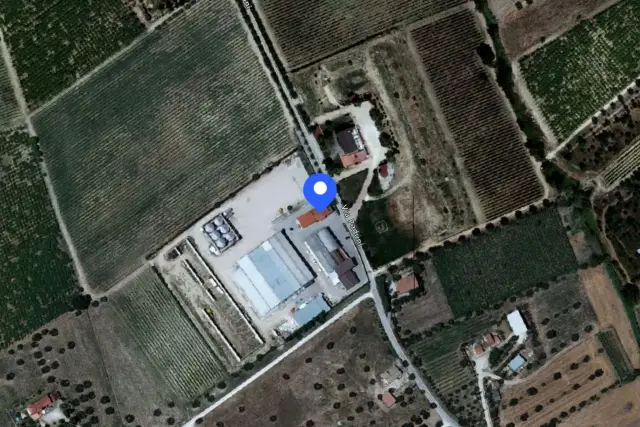 insertion image