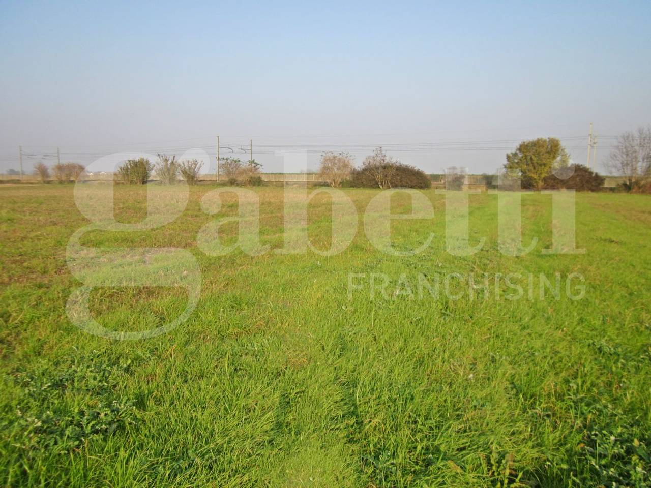 immagine annuncio 8 di 12