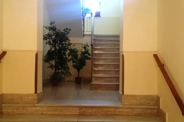 insertion image