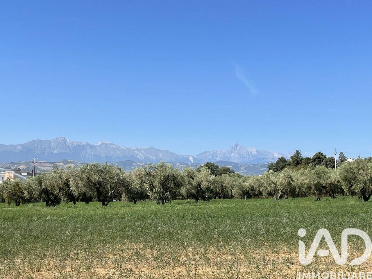 immagine annuncio 8 di 11