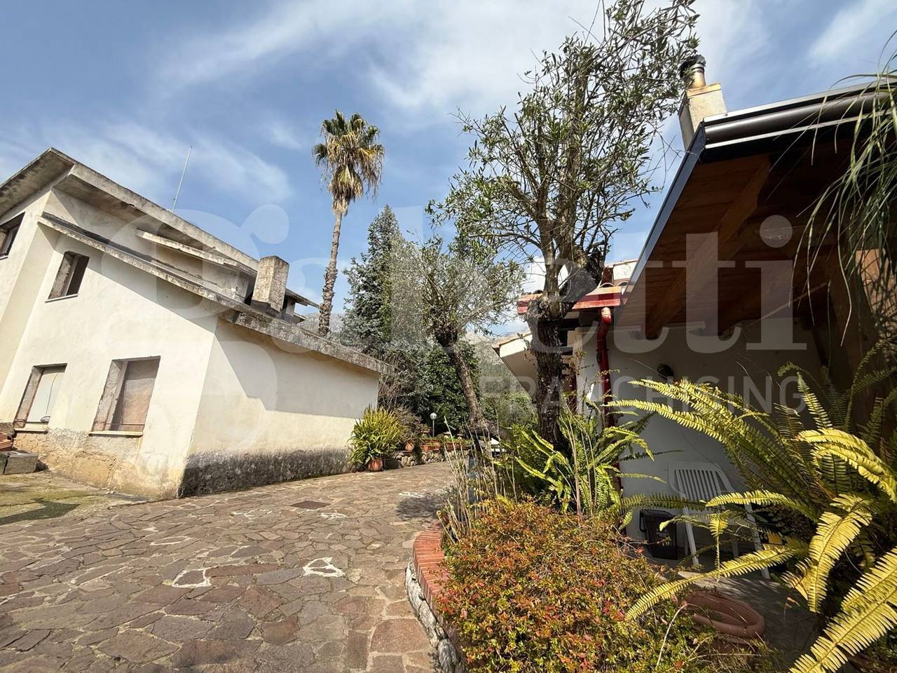 immagine annuncio 11 di 14