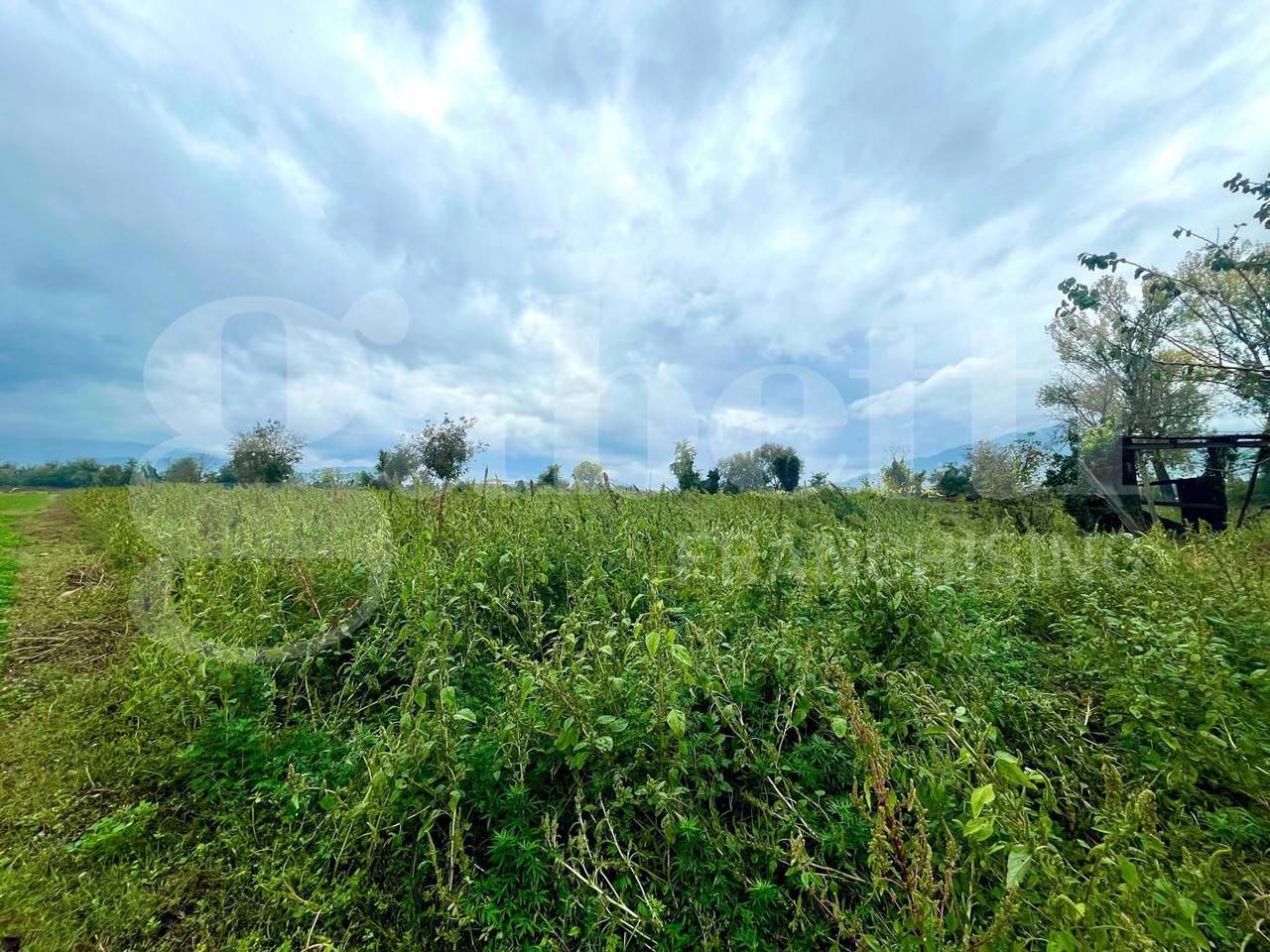 immagine annuncio 7 di 11