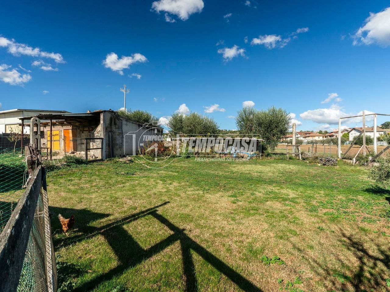 immagine annuncio 1 di 13