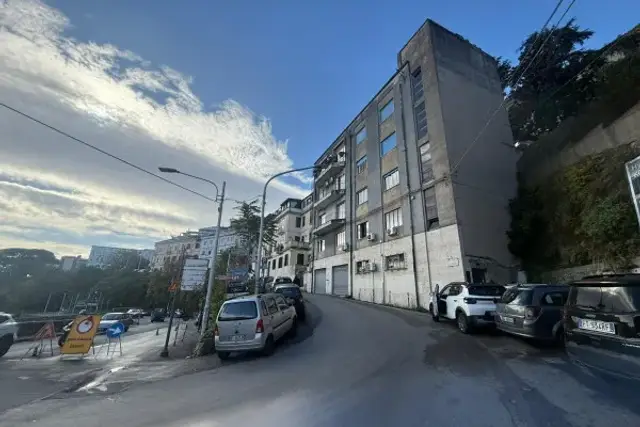 insertion image