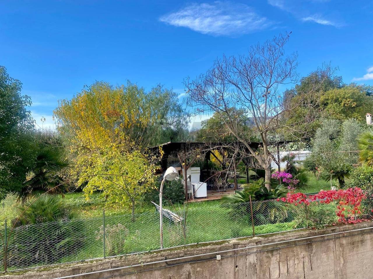 immagine annuncio 3 di 12