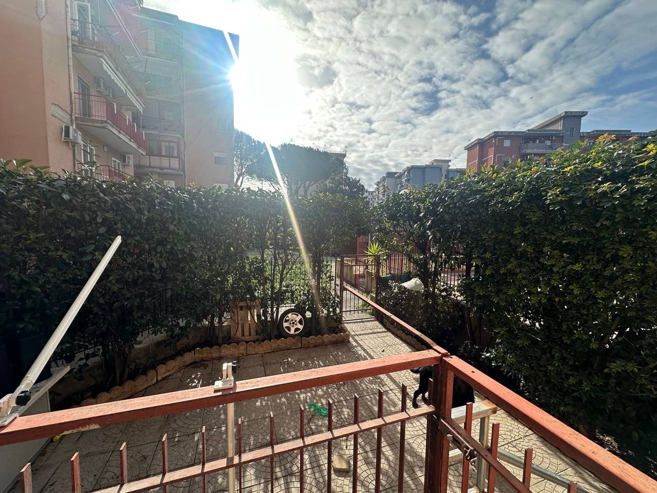 immagine annuncio 5 di 15