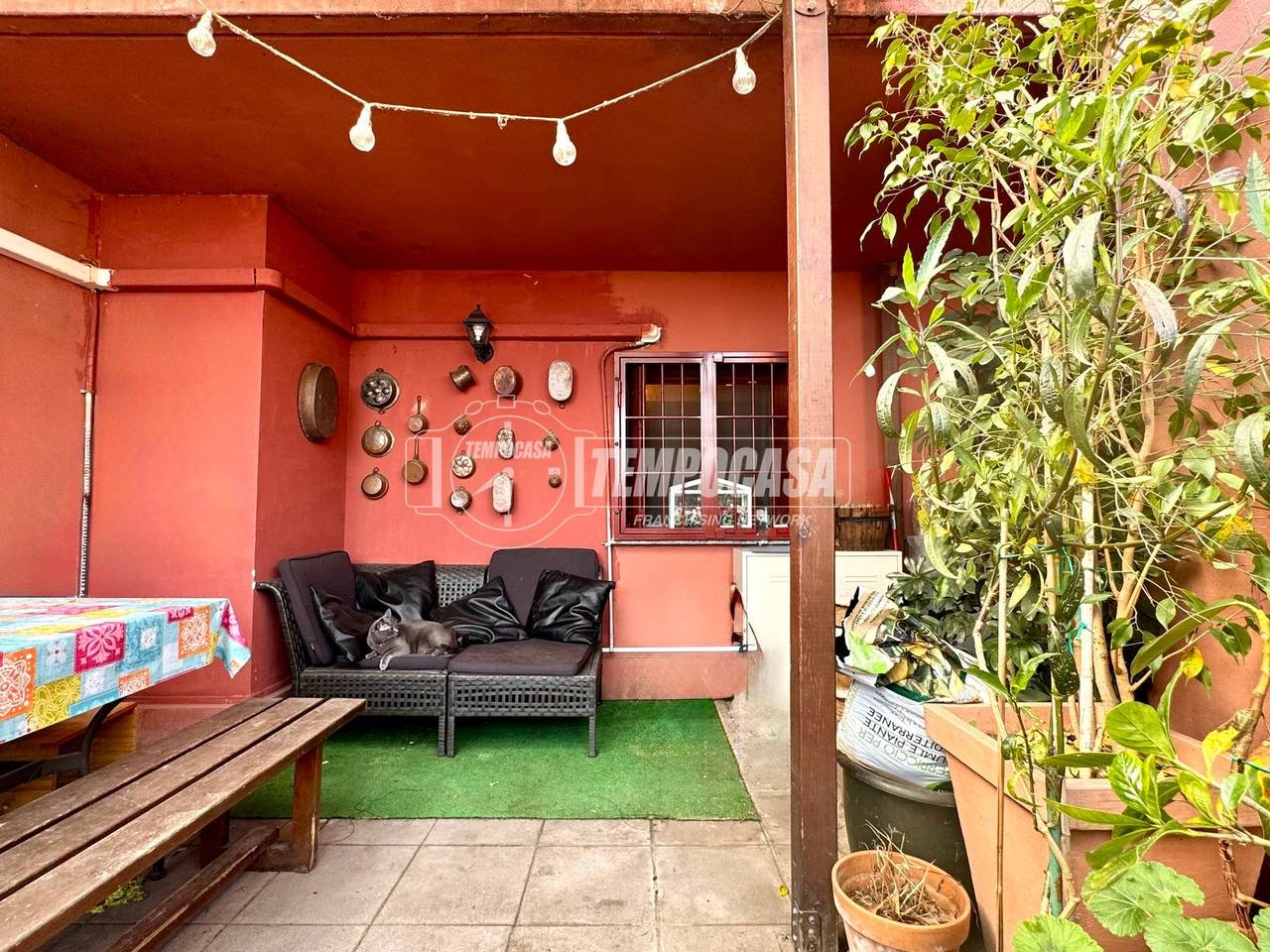 immagine annuncio 10 di 13