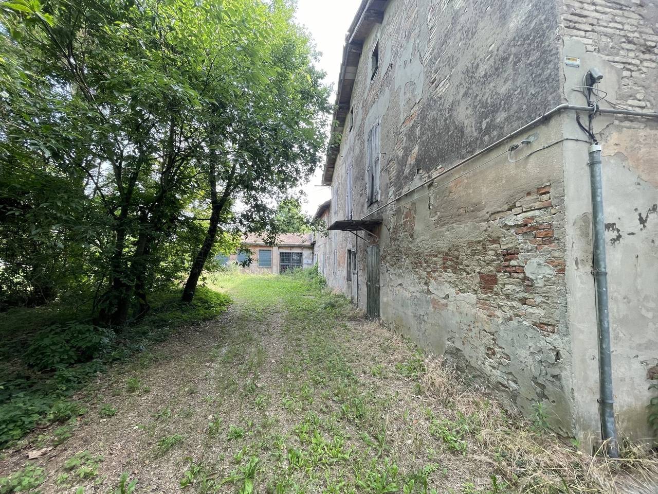 immagine annuncio 5 di 14