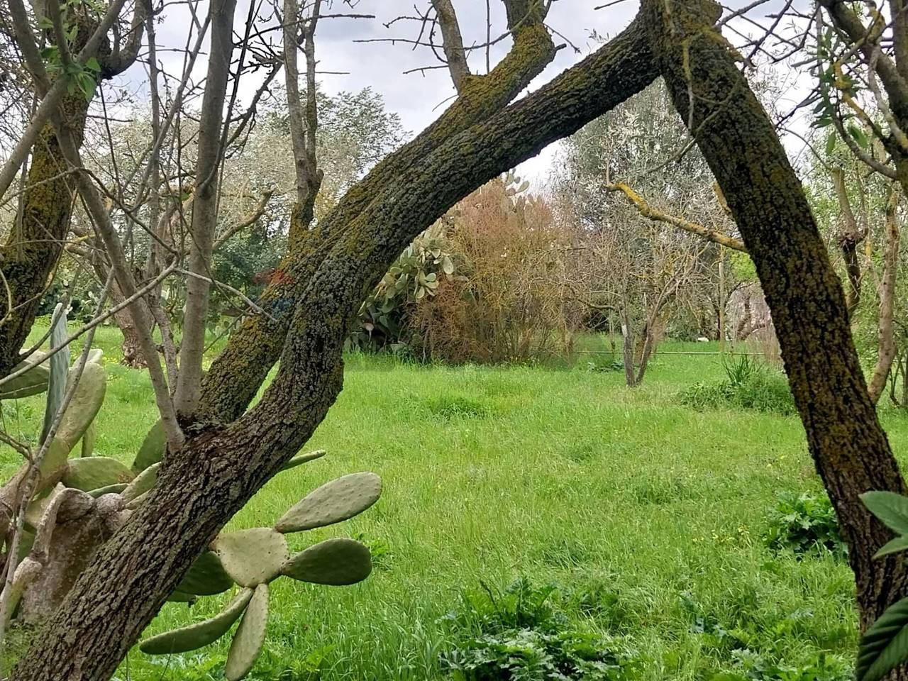 immagine annuncio 5 di 11