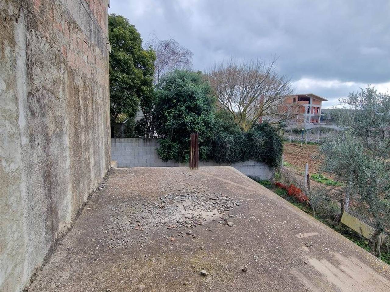 immagine annuncio 6 di 7