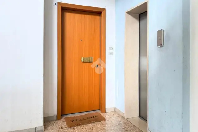 insertion image