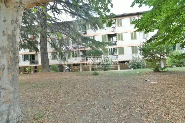 insertion image