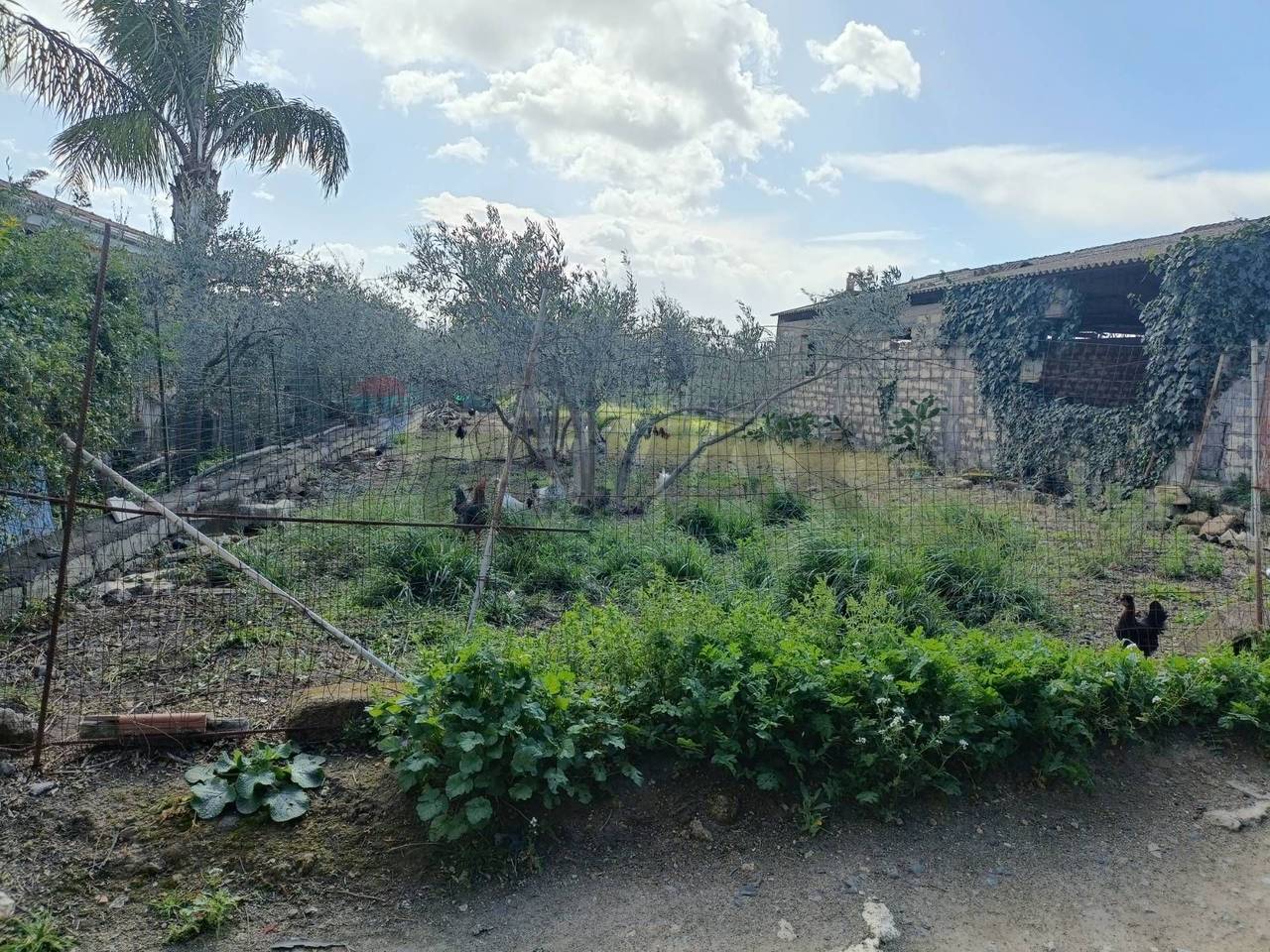 immagine annuncio 14 di 15