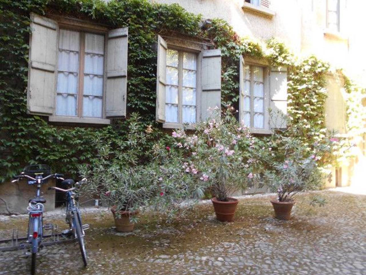 immagine annuncio 4 di 6