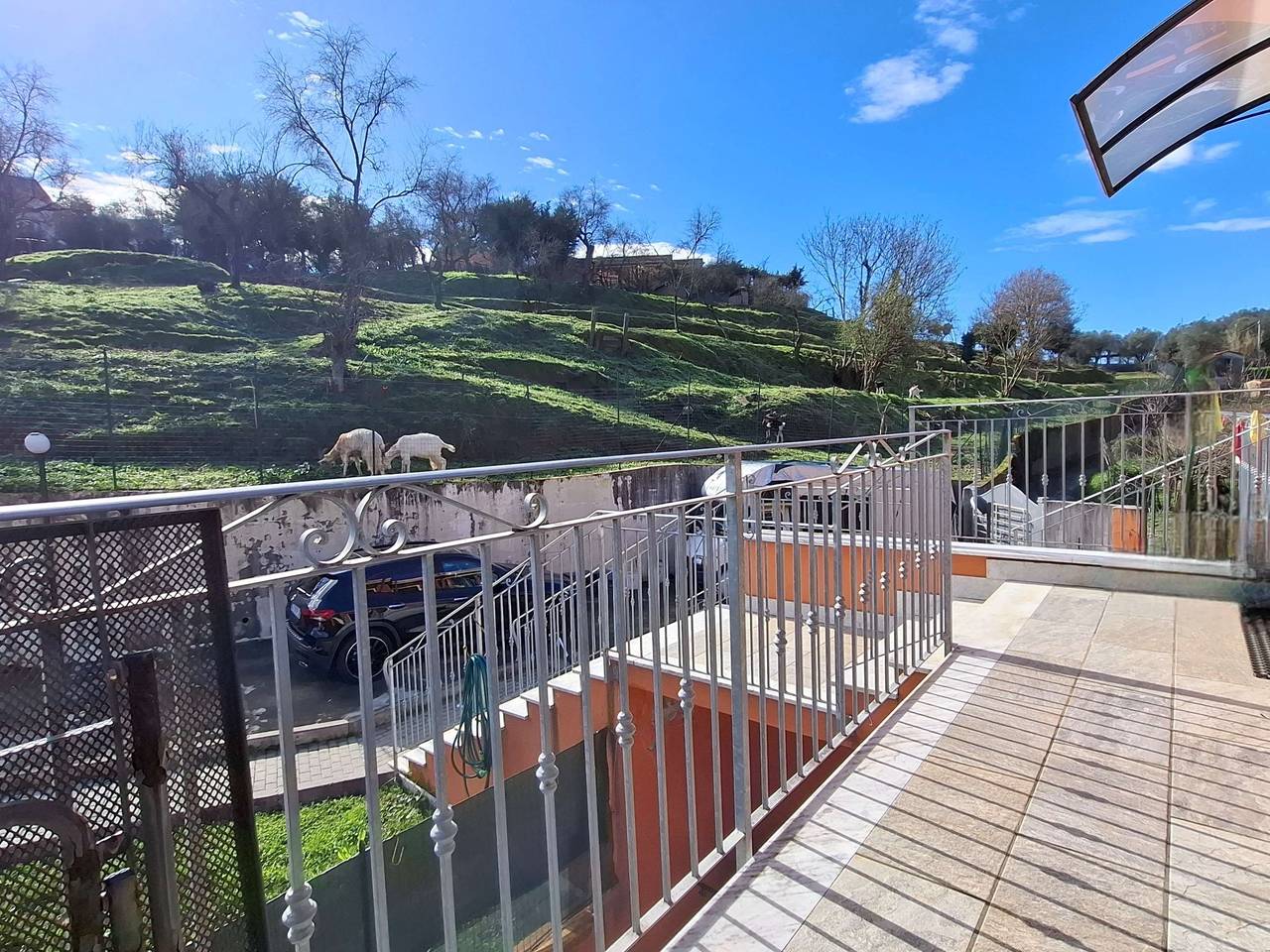 immagine annuncio 6 di 7