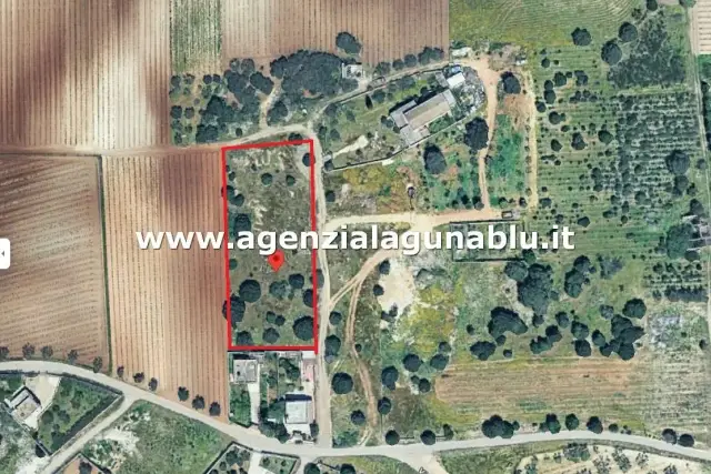 insertion image