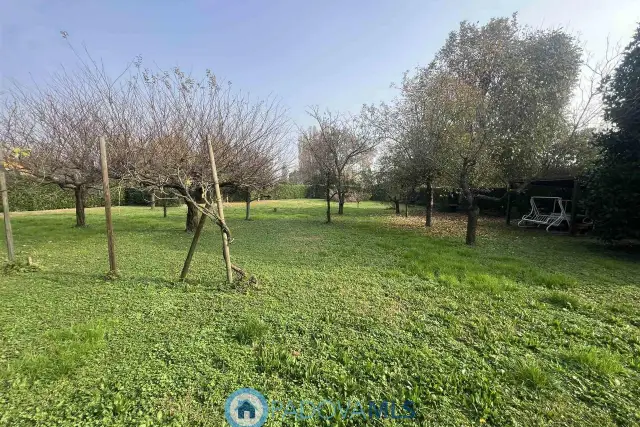 insertion image