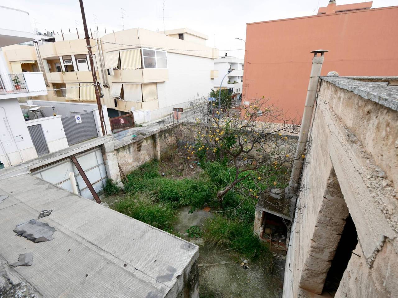 immagine annuncio 3 di 6