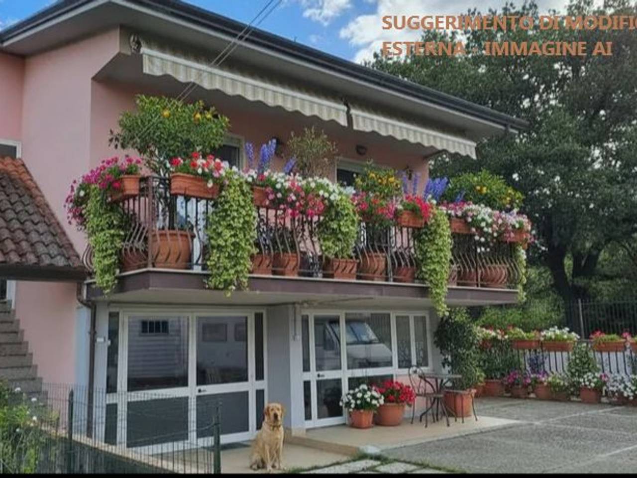 immagine annuncio 2 di 15