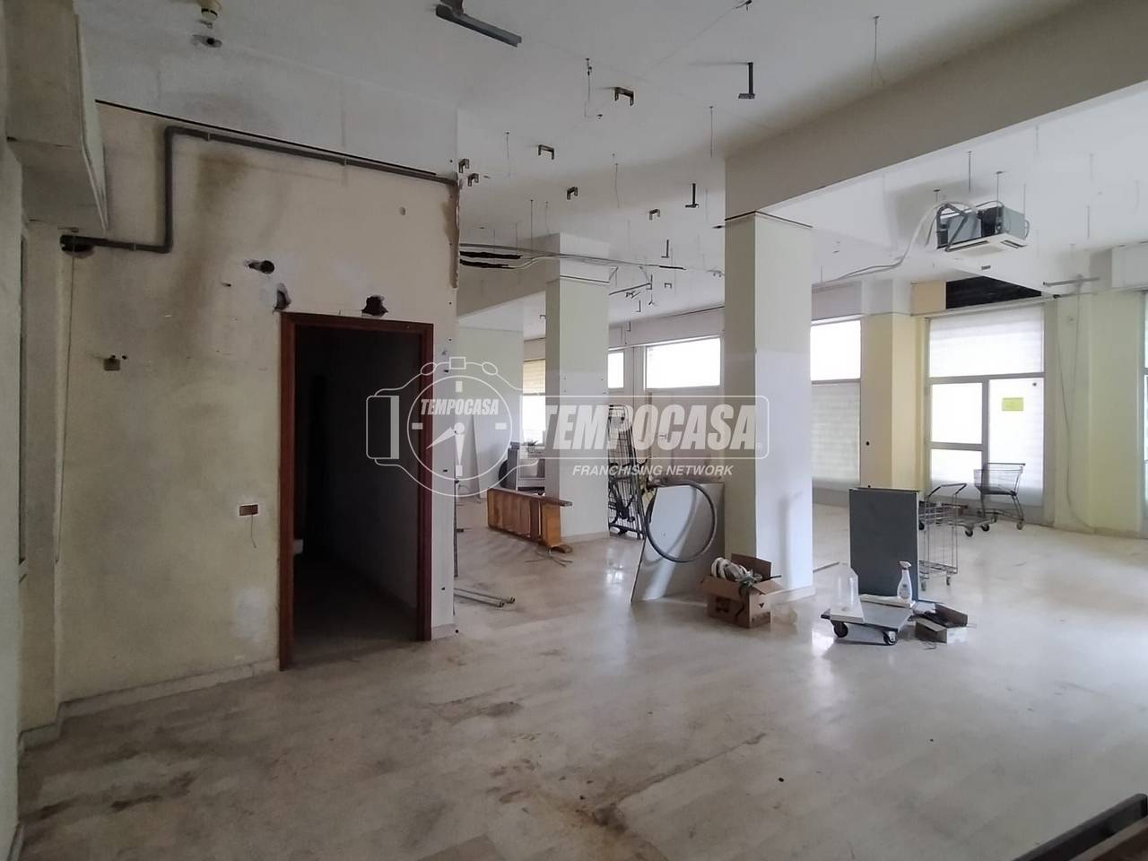 immagine annuncio 2 di 11