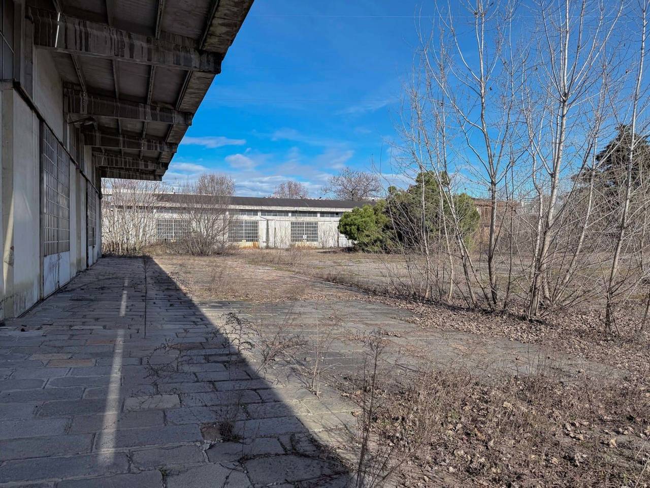 immagine annuncio 6 di 11