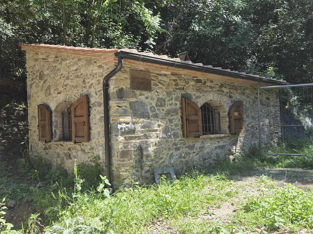 immagine annuncio 6 di 14
